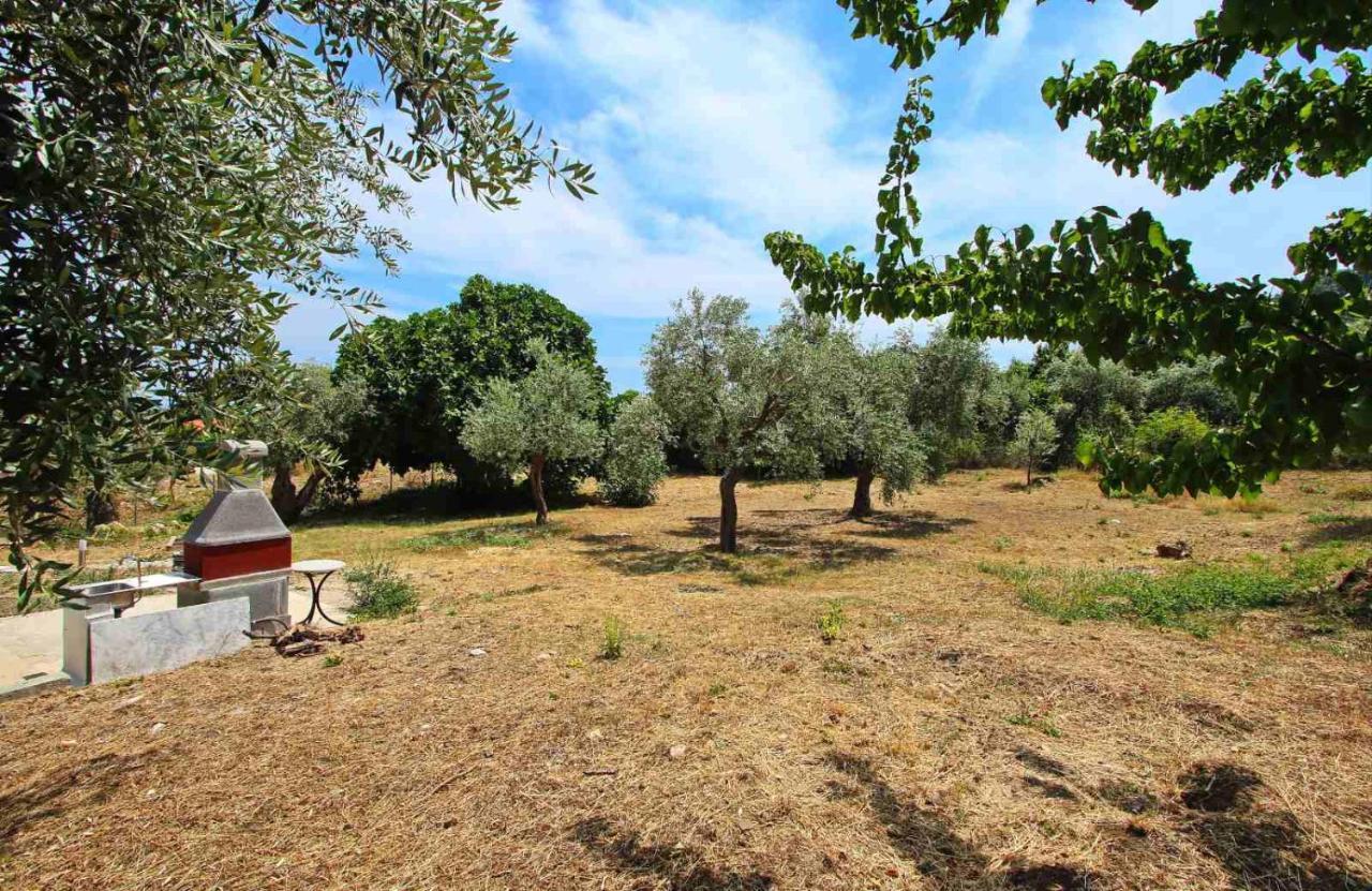 Panos House Διαμέρισμα Κοίνυρα Εξωτερικό φωτογραφία