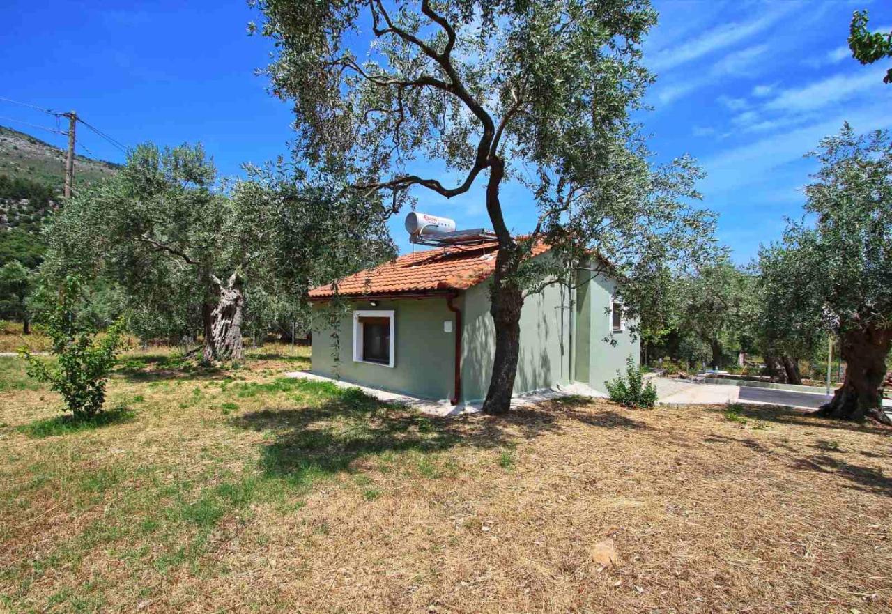 Panos House Διαμέρισμα Κοίνυρα Εξωτερικό φωτογραφία